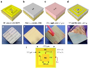 Schematic illustrations and photographs of the different steps on the fabrication procedure of the rings